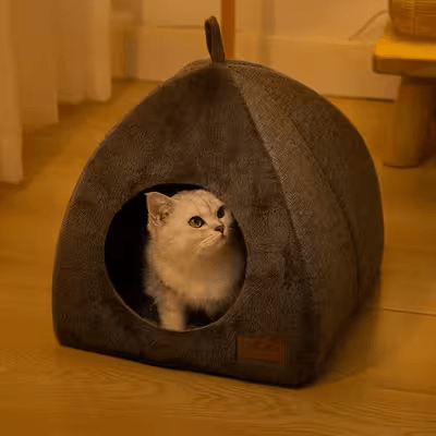 adorable chat dans niche pour chat grotte gris