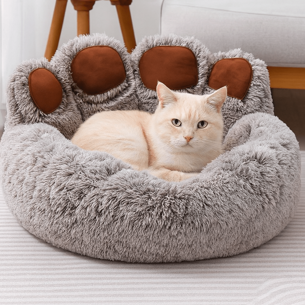 chat beige dans coussin chat forme patte ours doux brun