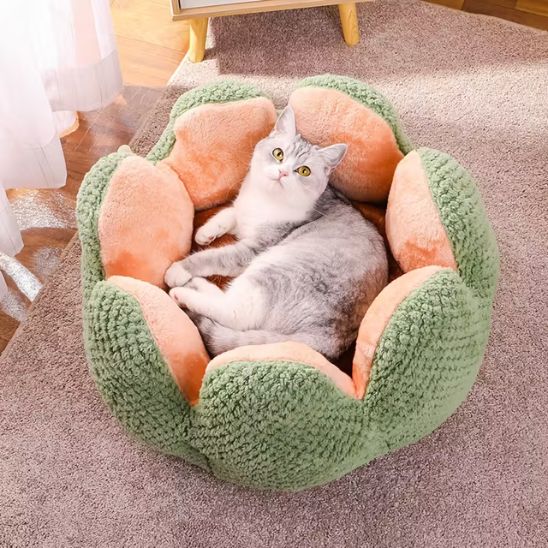 chat couche dans coussin chat forme fleur ronde confortable vert