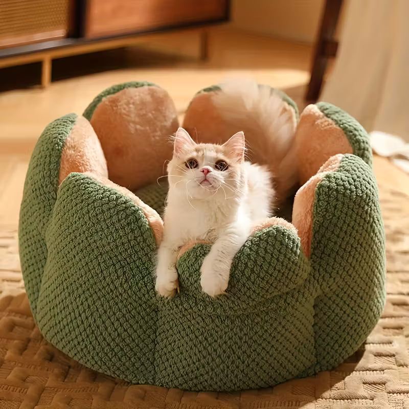 chaton debout dans coussin chat forme fleur ronde confortable vert