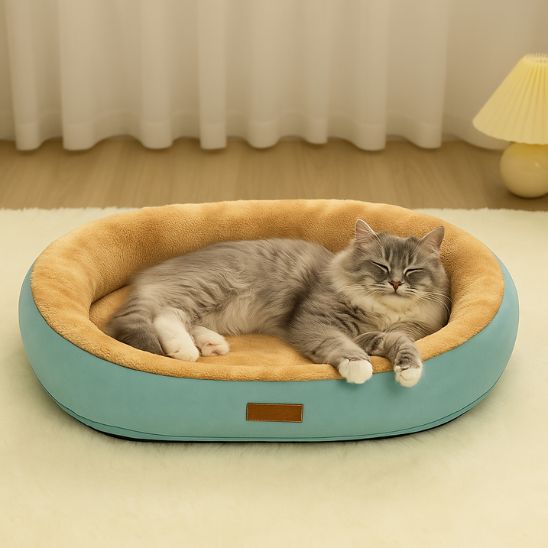 panier pour chat ovale bleu vert avec chat gris allonge