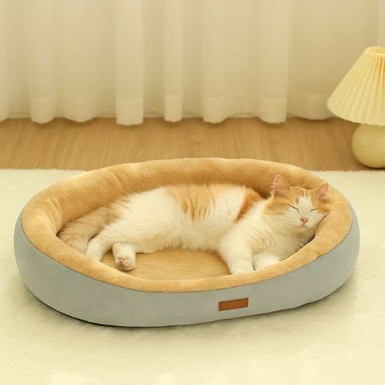 panier pour chat ovale gris avec chat blanc allonge