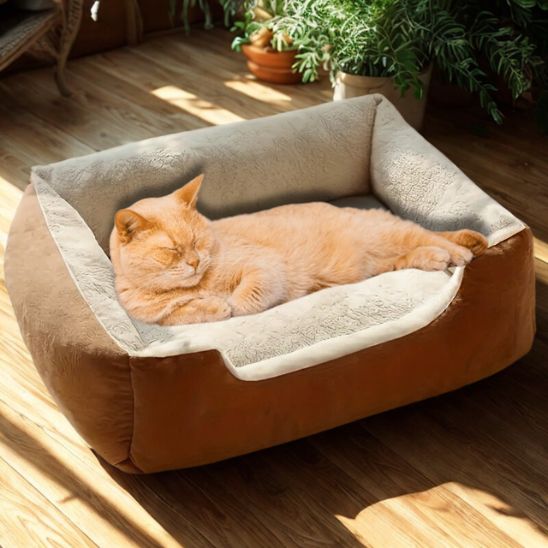 panier pour chat rectangulaire brun avec chat orange allonge