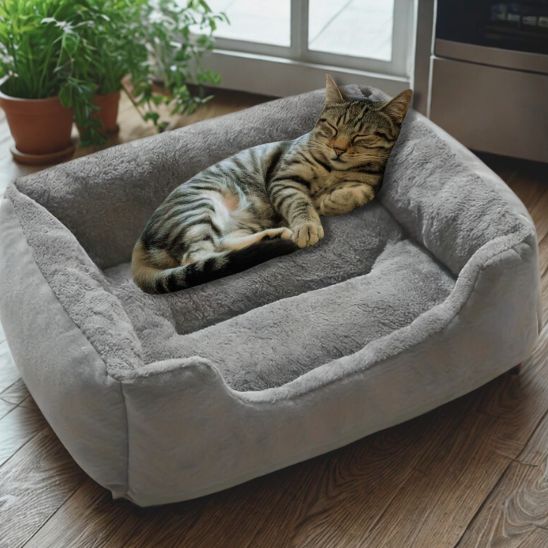 panier pour chat rectangulaire gris avec chat tigre allonge