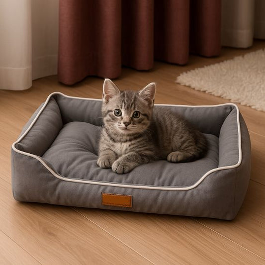 Le guide ultime du coussin parfait pour votre chat