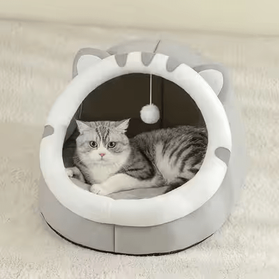 adorable chat couche dans niche pour chat
