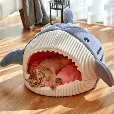 adorable chat couche niche chat confortable requin bleu