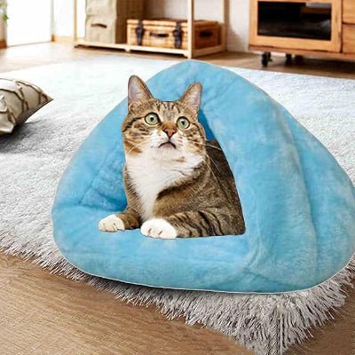 adorable chat dans lit pour chat snughut bleu