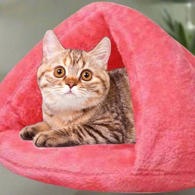 adorable chat dans lit pour chat snughut rose