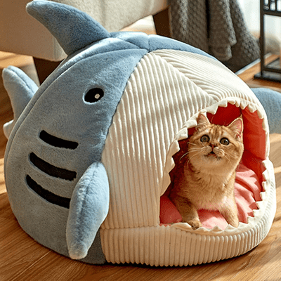 adorable chat dans niche chat confortable requin bleu