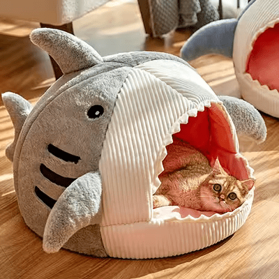 adorable chat dans niche chat requin gris