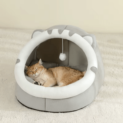 adorable chat dormant dans niche pour chat