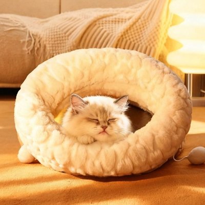 adorable chat endormi dans sac de couchage chat laine