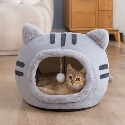 adorable chaton dans lit pour chat confortable gris