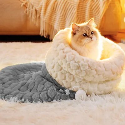 adorable chaton dans sac de couchage chat laine