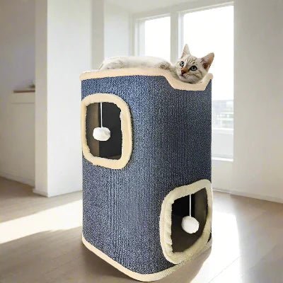 beau chat sur niche pour chat gris