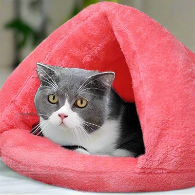 chat adorable dans lit pour chat snughut rose