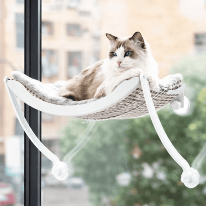chat allonge confortablement dans hamac pour chat fenetre blanc confortable