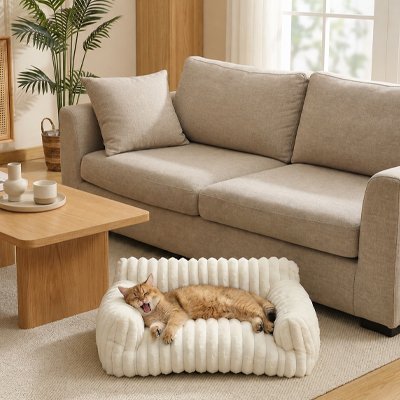 chat allonge confortablement sur petit canape pour chat blanc
