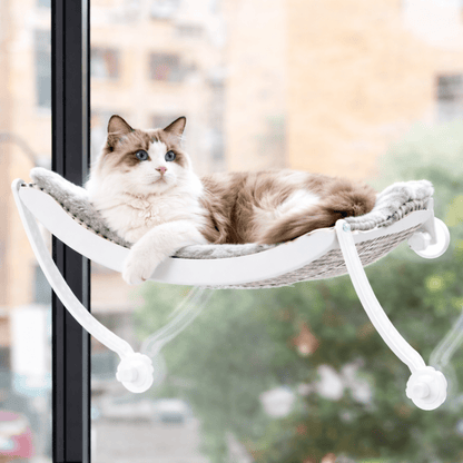 chat allonge dans hamac pour chat fenetre blanc confortable