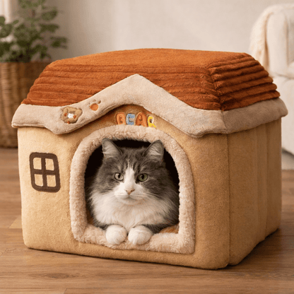 chat allonge dans maison chat confortable douce brune