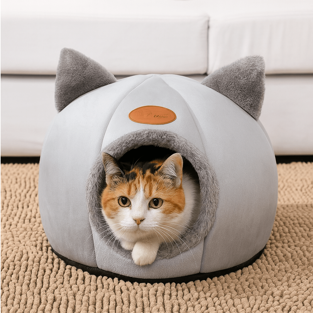 chat allonge dans niche pour chat design chat gris confortable