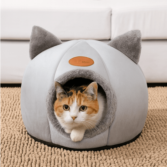 chat allonge dans niche pour chat design chat gris confortable