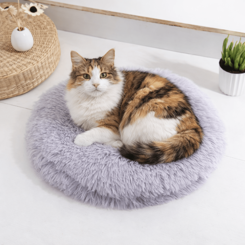 chat allonge sur coussin chat rond doux gris