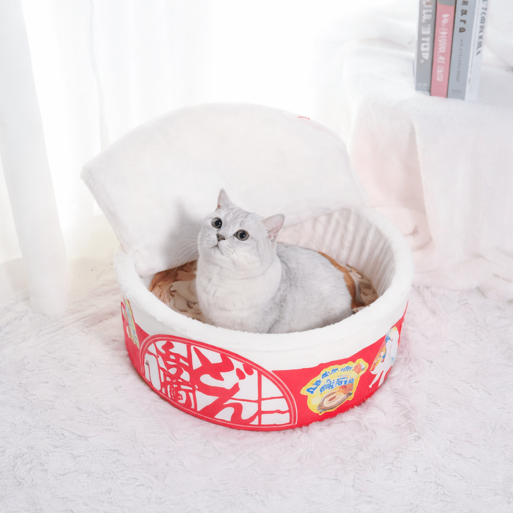 chat assis dans chat panier rouge rond design nouille