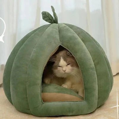 chat assis dans niche pour chat citrouille