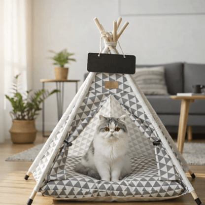 chat assis dans tente pour chat confortable design triangle gris