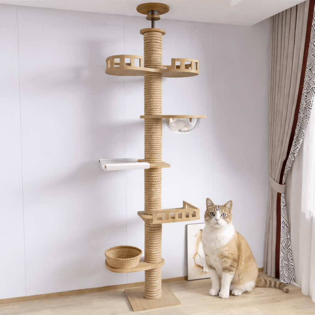 chat assis devant arbre a chat en bois minimaliste