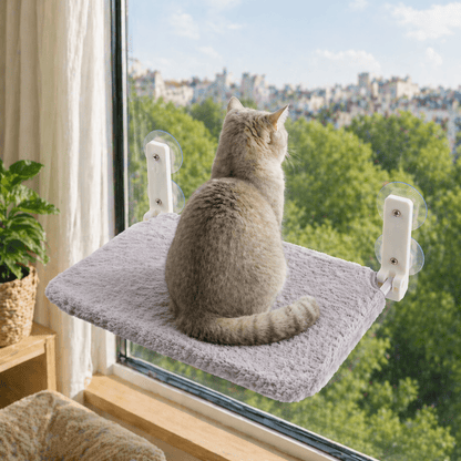 chat assis sur perchoir chat fenêtre gris peluche douce