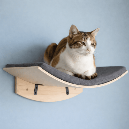 chat beige couche sur hamac chat mural confortable gris