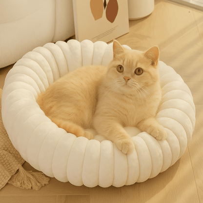 chat beige dans coussin pour chat rond doux chaud blanc