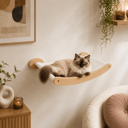 chat beige dans hamac mural en bois pour chat