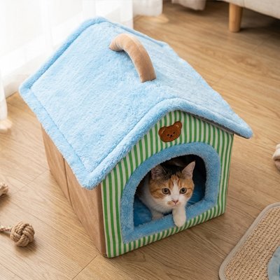 chat beige dans maison pour chat confortable adorable
