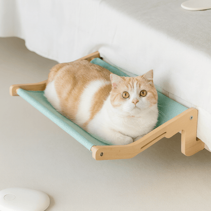 chat beige dans son hamac pour chat bleu confortable