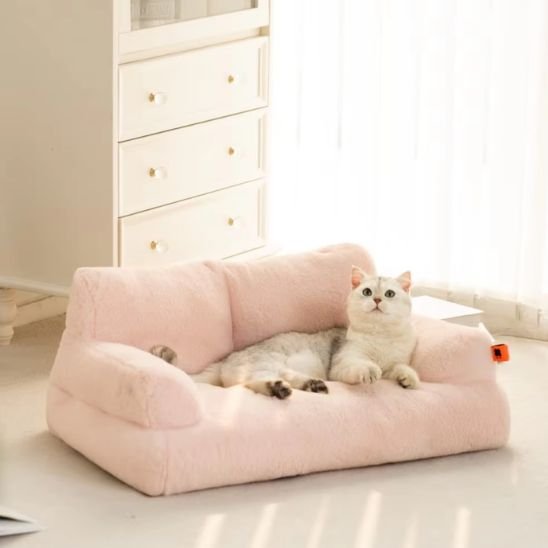 chat blanc allonger canape chat moelleux beige