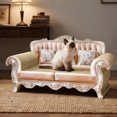 chat blanc assis canape pour chat design luxueux