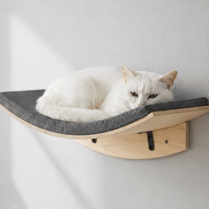 chat blanc couche sur hamac chat mural confortable gris