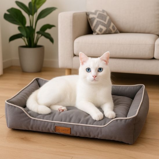 chat blanc dans chat panier rectangulaire gris confortable