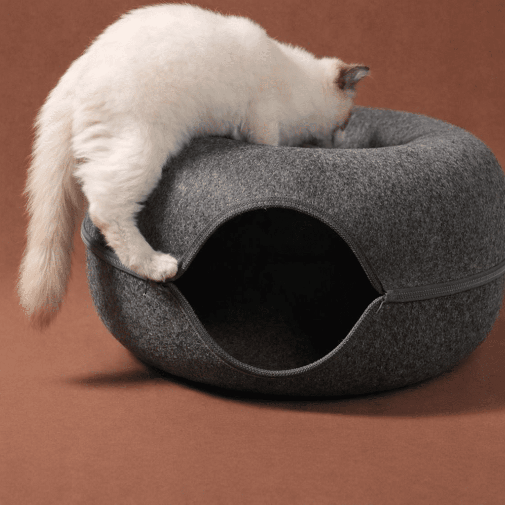 chat blanc grimpant sur niche chat beignet feutre confortable gris