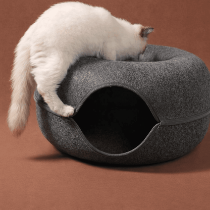chat blanc grimpant sur niche chat beignet feutre confortable gris
