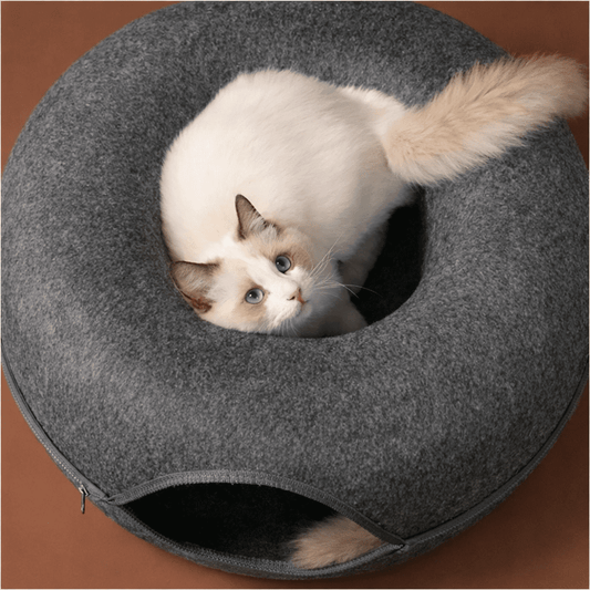 chat blanc installe dans niche chat beignet feutre confortable gris