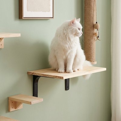 chat blanc sur arbre a chat mural stable