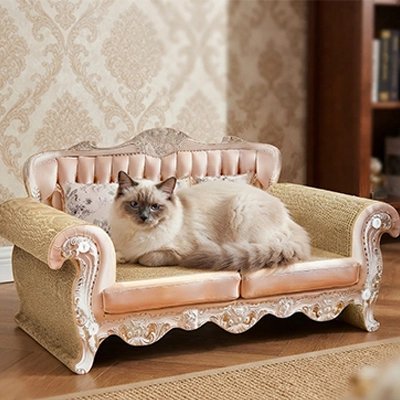 chat blanc sur canape pour chat design luxueux