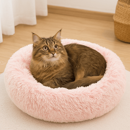 chat brun sur grotte coussin chat rond rose peluche douce
