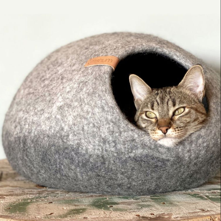 chat couche confortablement dans niche pour chat douce