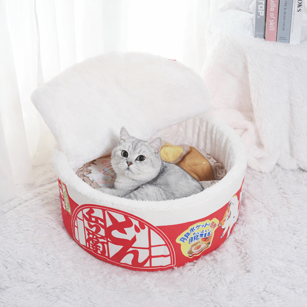 chat couche dans chat panier rouge rond design nouille